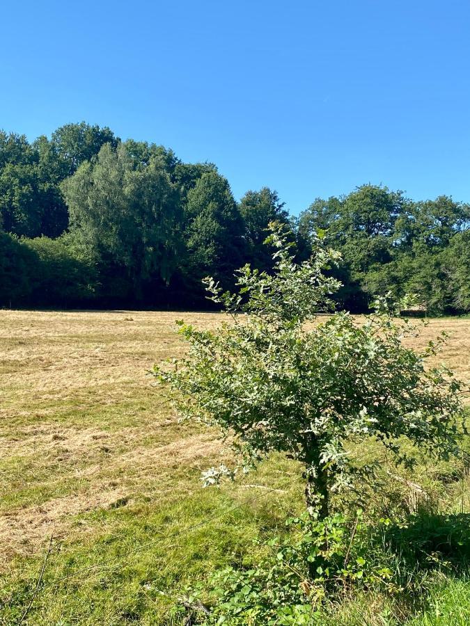 In La Riviere With Shared Pool * Champagnac-la-Riviere
